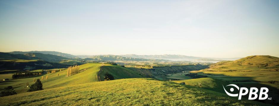 pbbnz hills